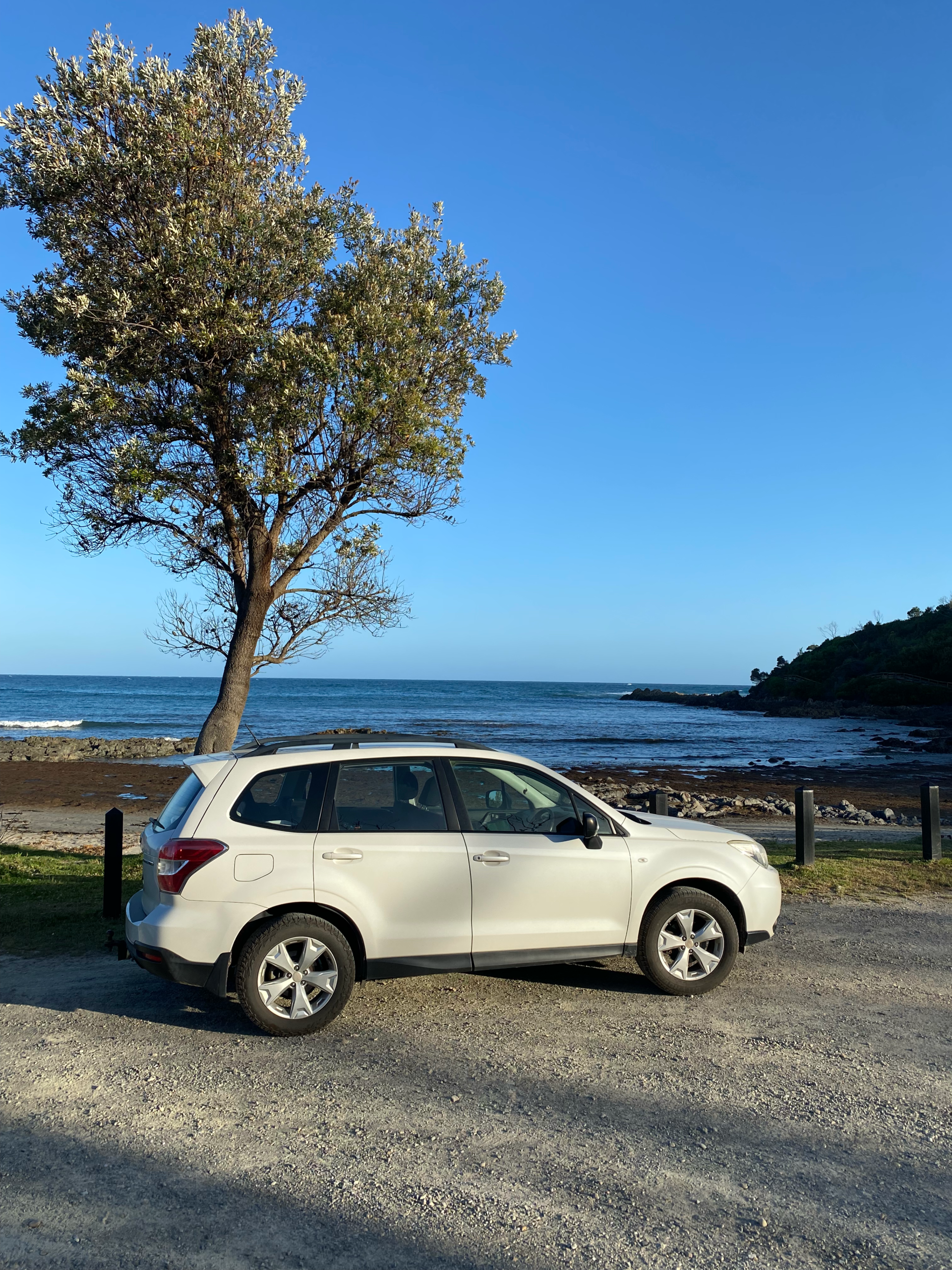 Fun Travel Finds: Matthew Branagan’s discoveries on the Road